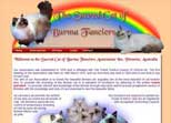 Sacred Cat of Burma fanciers